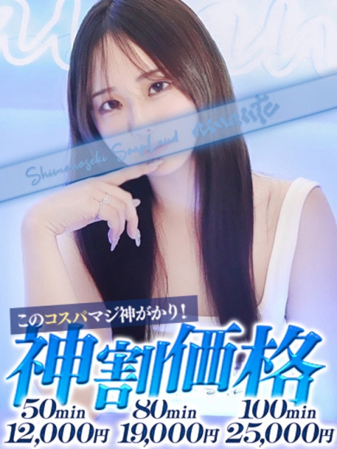 りる3